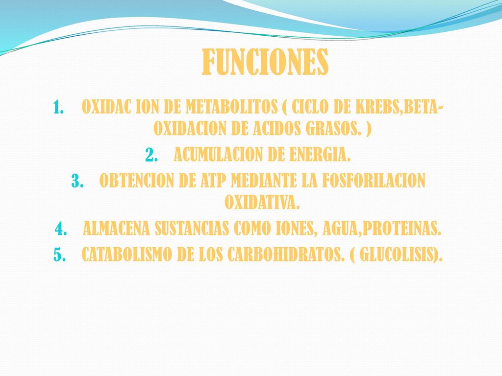 FUNCIONES OXIDAC ION DE METABOLITOS ( CICLO DE KREBS,BETA-OXIDACION DE ACIDOS GRASOS. ) ACUMULACION DE ENERGIA.