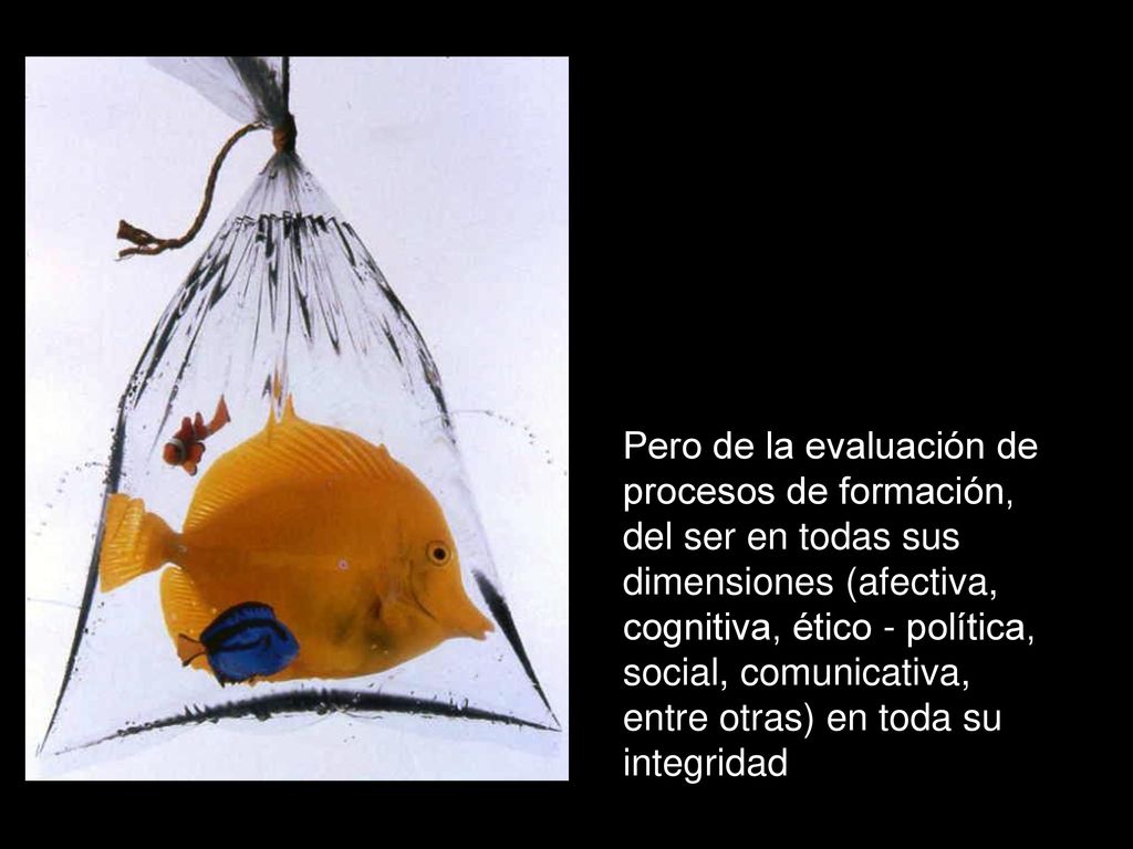 Pero de la evaluación de procesos de formación, del ser en todas sus dimensiones (afectiva, cognitiva, ético - política, social, comunicativa, entre otras) en toda su integridad