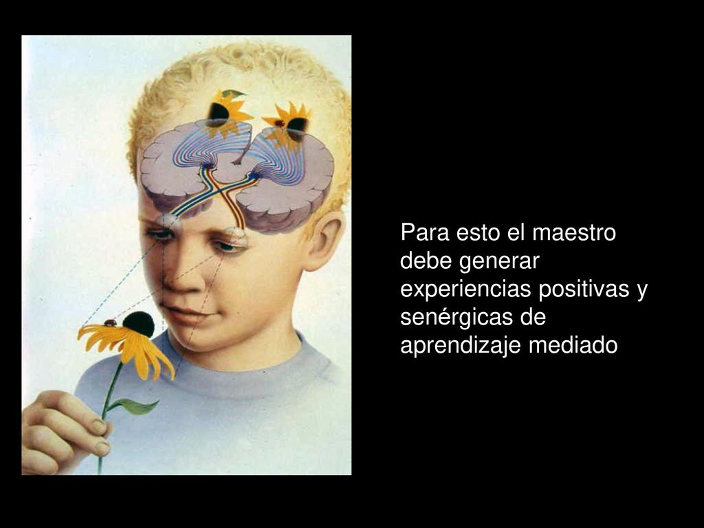 Para esto el maestro debe generar experiencias positivas y senérgicas de aprendizaje mediado