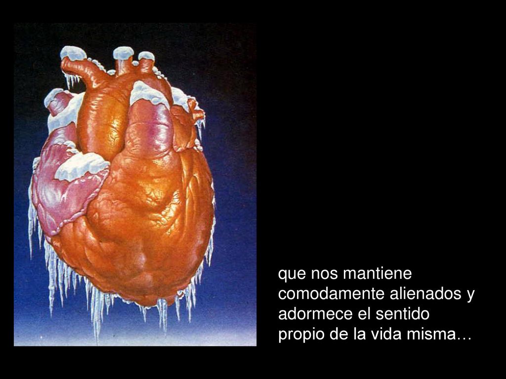 que nos mantiene comodamente alienados y adormece el sentido propio de la vida misma…