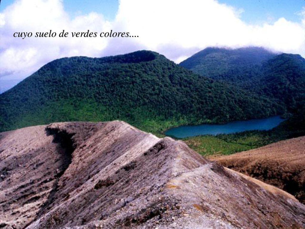 cuyo suelo de verdes colores....