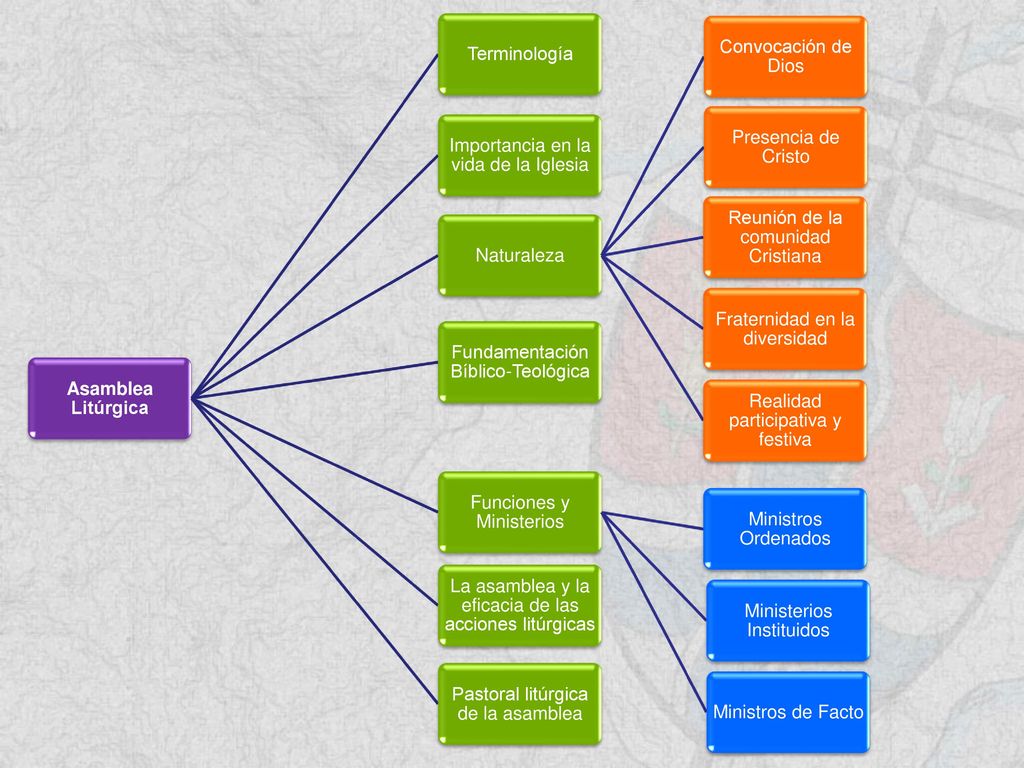 Importancia en la vida de la Iglesia Naturaleza Convocación de Dios