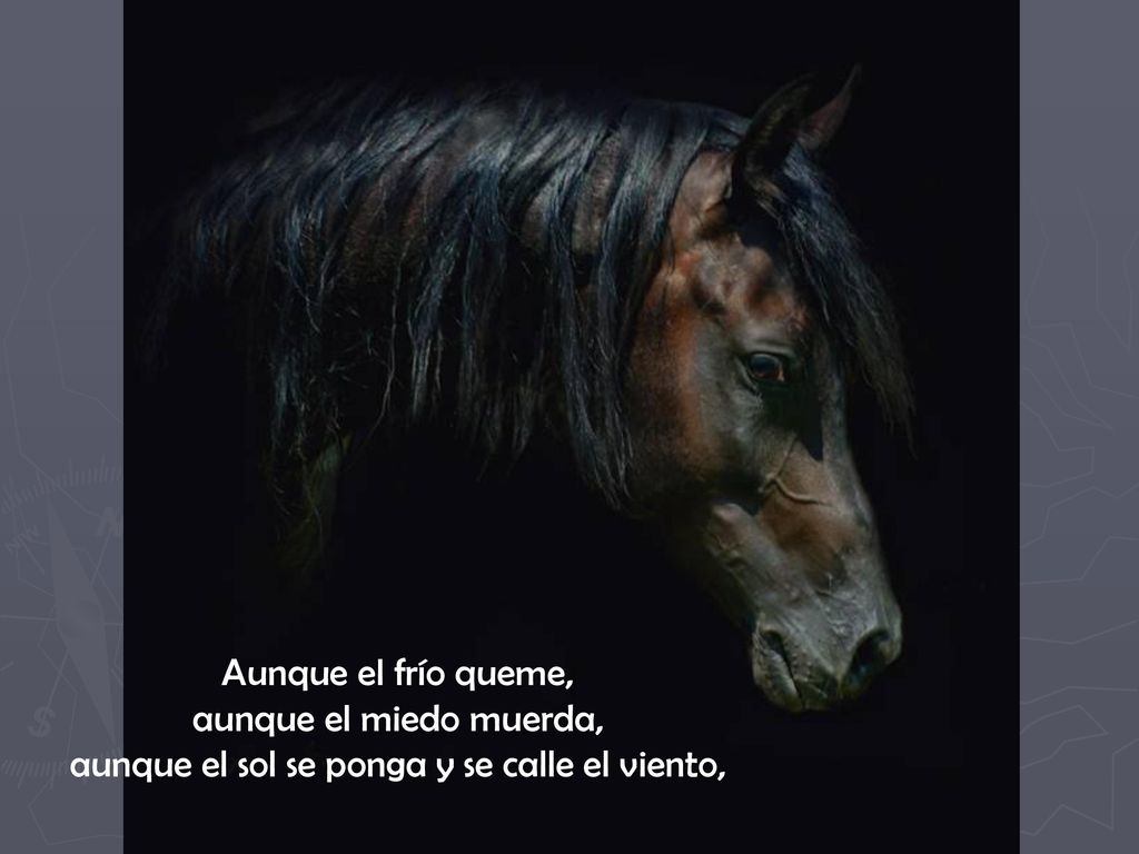 Aunque el frío queme, aunque el miedo muerda, aunque el sol se ponga y se calle el viento,