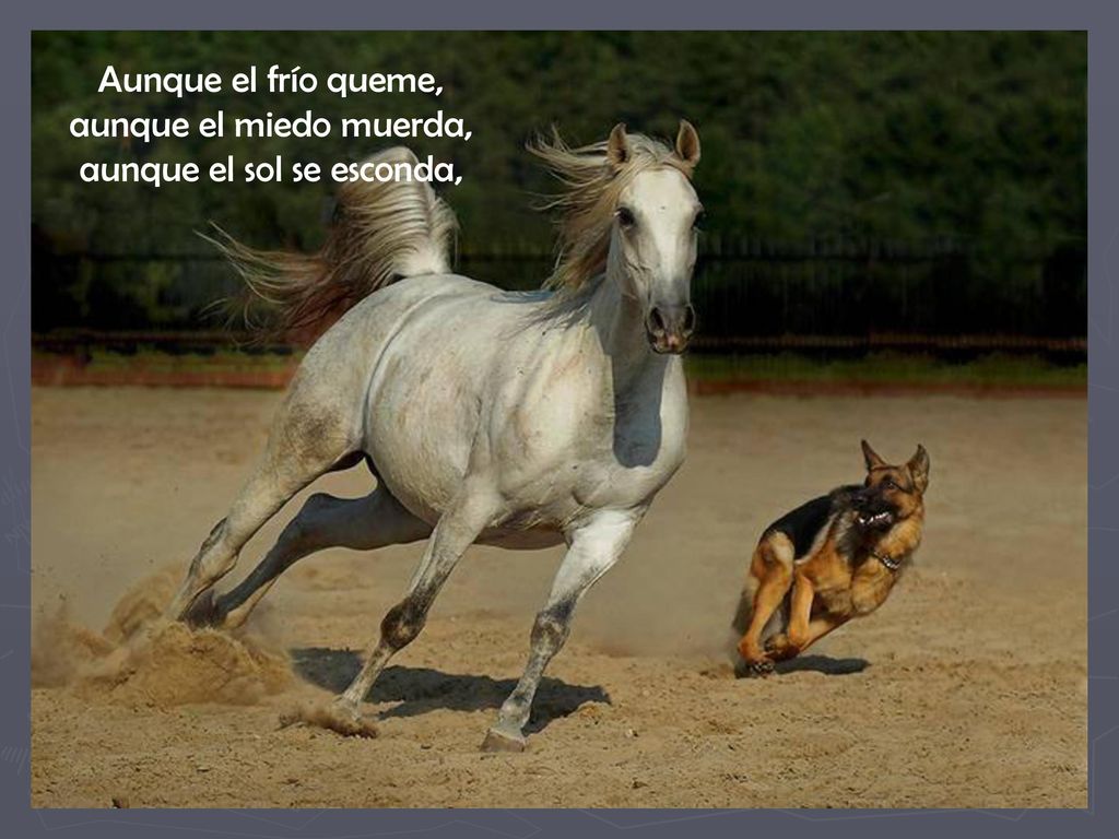 Aunque el frío queme, aunque el miedo muerda, aunque el sol se esconda,