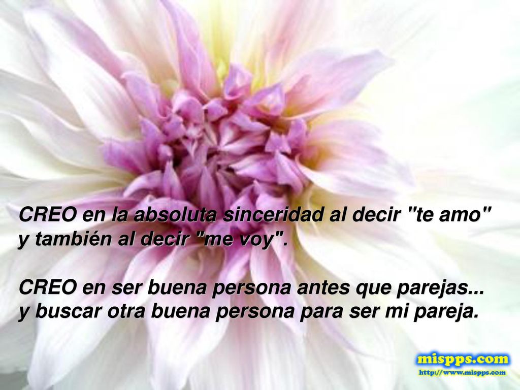 CREO en la absoluta sinceridad al decir te amo y también al decir me voy .