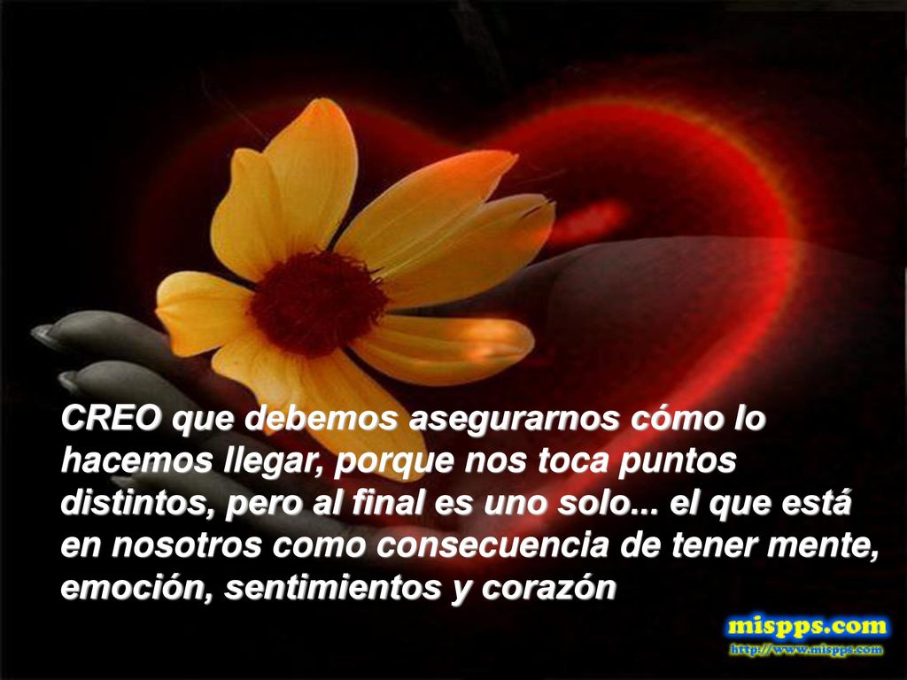 CREO que debemos asegurarnos cómo lo hacemos llegar, porque nos toca puntos distintos, pero al final es uno solo...