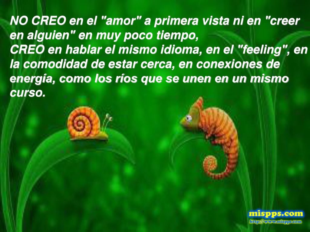 NO CREO en el amor a primera vista ni en creer en alguien en muy poco tiempo, CREO en hablar el mismo idioma, en el feeling , en la comodidad de estar cerca, en conexiones de energía, como los ríos que se unen en un mismo curso.