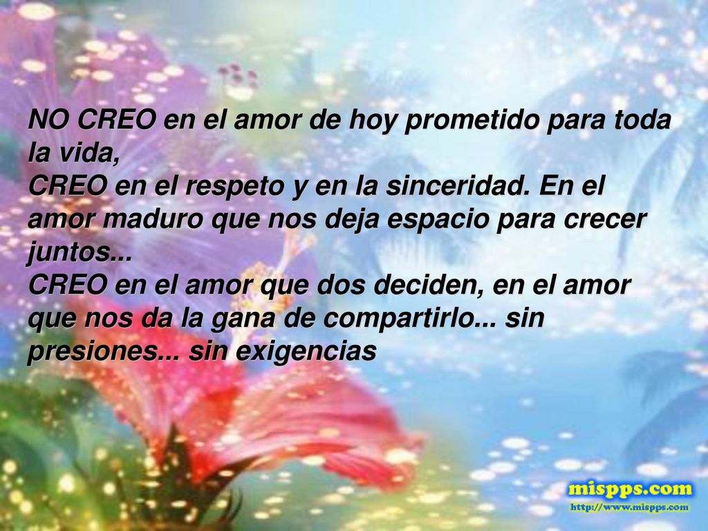 NO CREO en el amor de hoy prometido para toda la vida, CREO en el respeto y en la sinceridad.