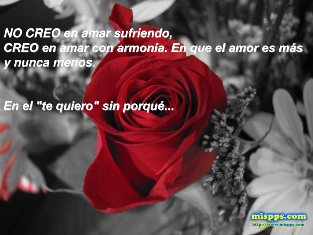 NO CREO en amar sufriendo, CREO en amar con armonía