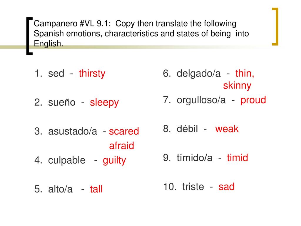 6. delgado/a - thin, skinny 7. orgulloso/a - proud 8. débil - weak