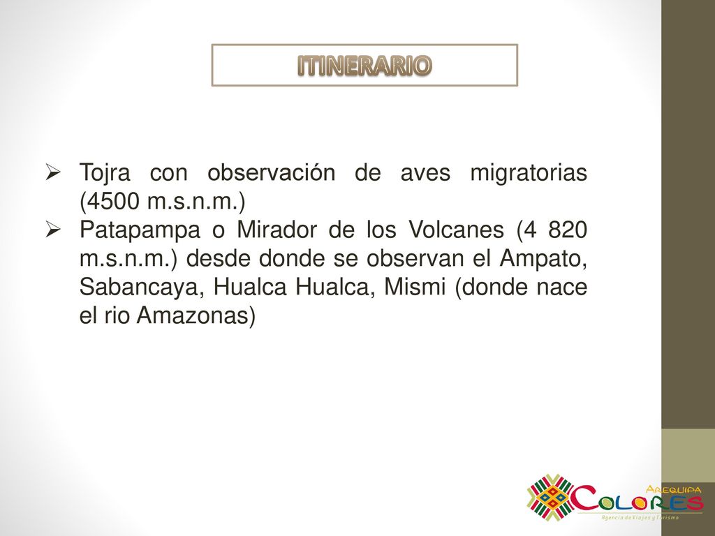 ITINERARIO Tojra con observación de aves migratorias (4500 m.s.n.m.)
