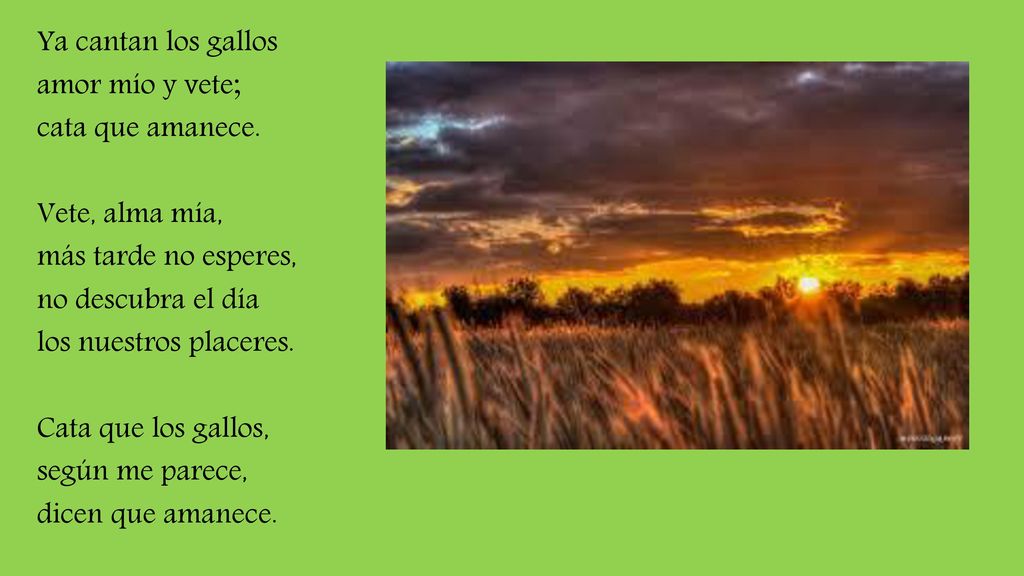 Ya cantan los gallos amor mío y vete; cata que amanece. Vete, alma mía, más tarde no esperes, no descubra el día.