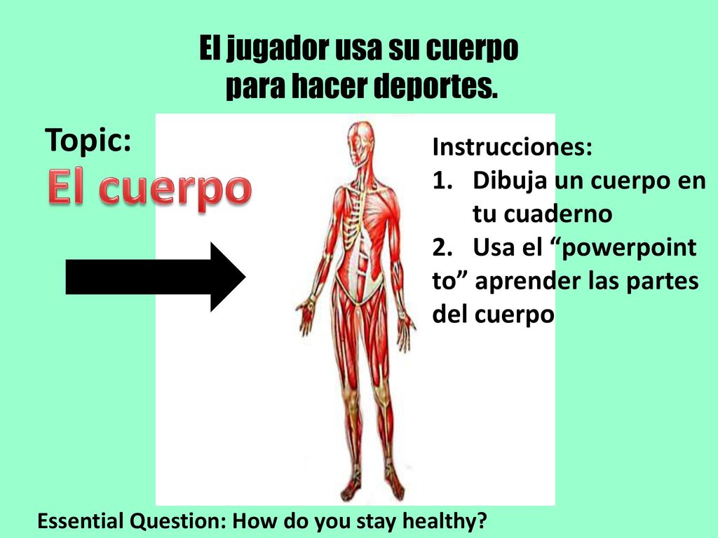 El jugador usa su cuerpo para hacer deportes.