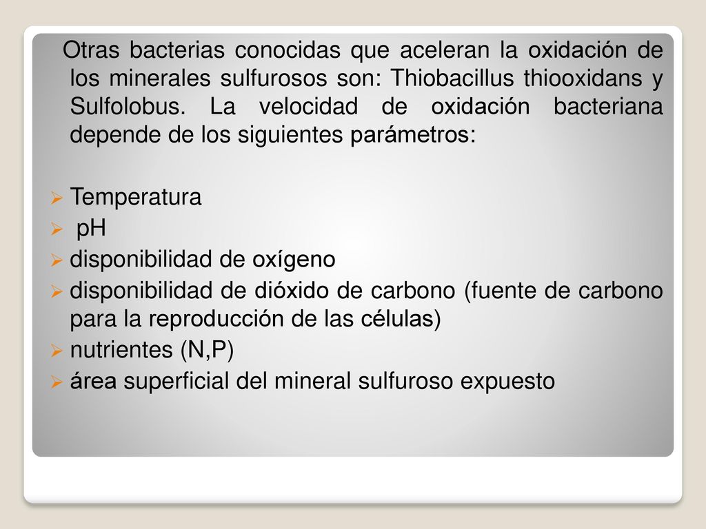 Otras bacterias conocidas que aceleran la oxidación de los minerales sulfurosos son: Thiobacillus thiooxidans y Sulfolobus. La velocidad de oxidación bacteriana depende de los siguientes parámetros: