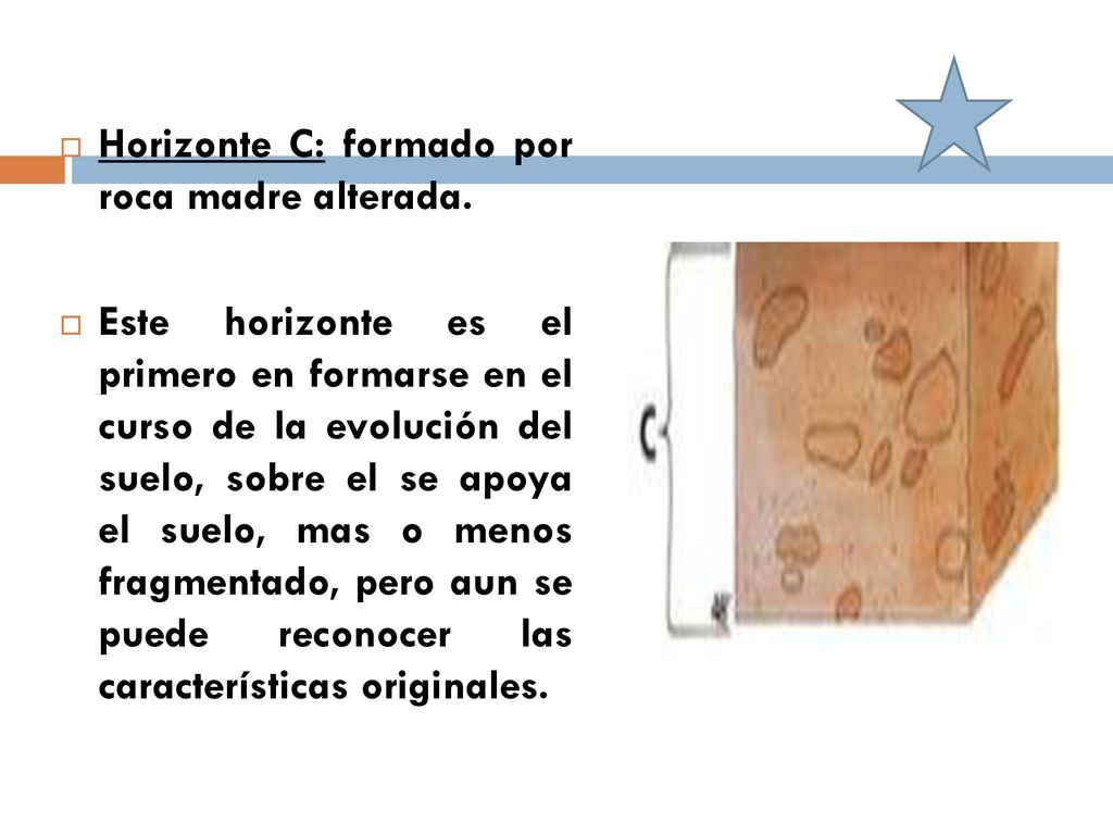 Horizonte C: formado por roca madre alterada.