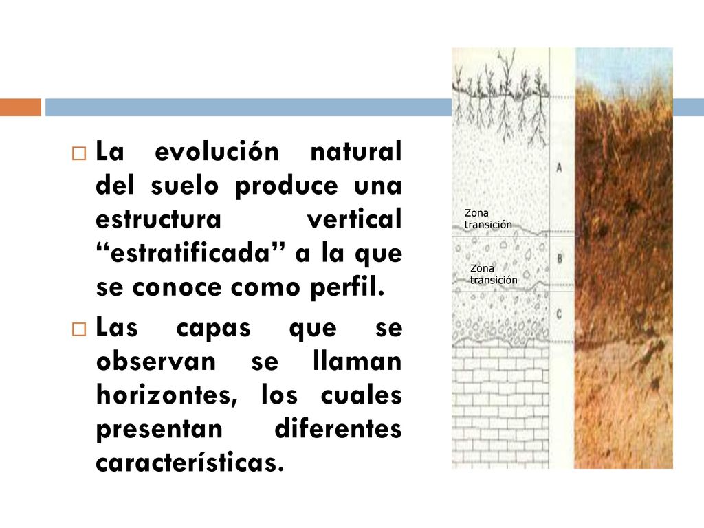 La evolución natural del suelo produce una estructura vertical estratificada a la que se conoce como perfil.