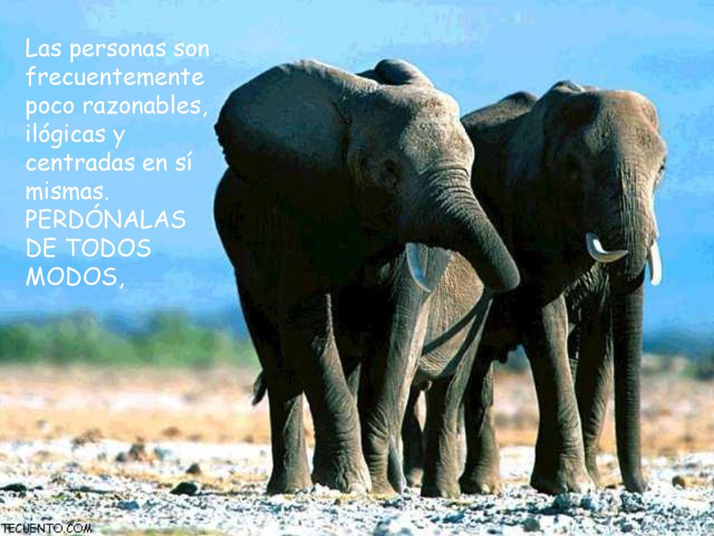 Las personas son frecuentemente poco razonables, ilógicas y centradas en sí mismas.