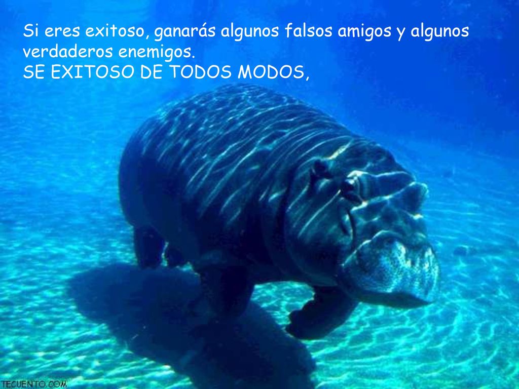 Si eres exitoso, ganarás algunos falsos amigos y algunos verdaderos enemigos.