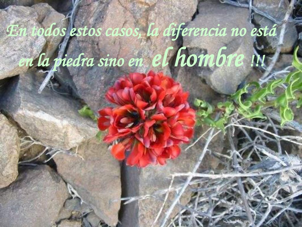 En todos estos casos, la diferencia no está en la piedra sino en el hombre !!!