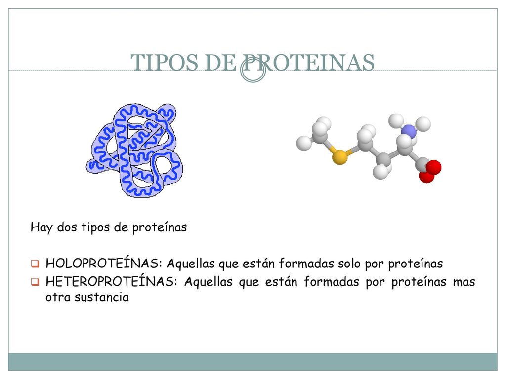 TIPOS DE PROTEINAS Hay dos tipos de proteínas