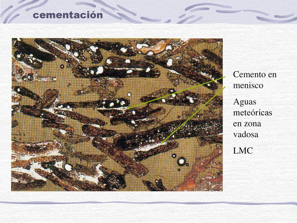 cementación Cemento en menisco Aguas meteóricas en zona vadosa LMC