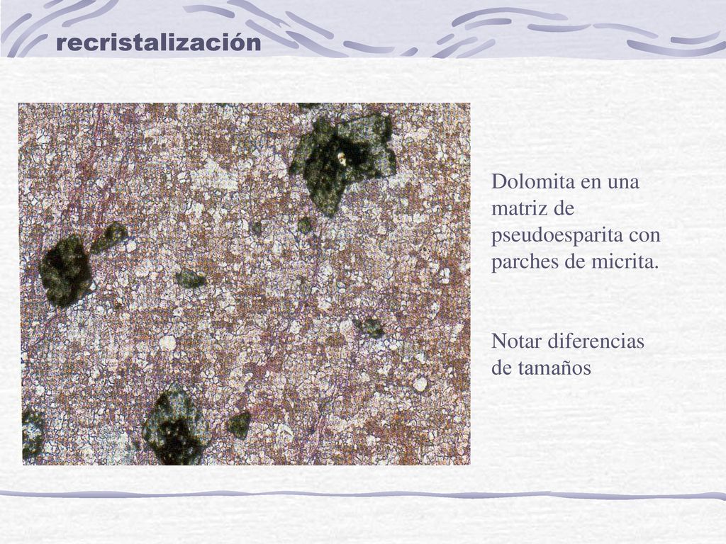 recristalización Dolomita en una matriz de pseudoesparita con parches de micrita.