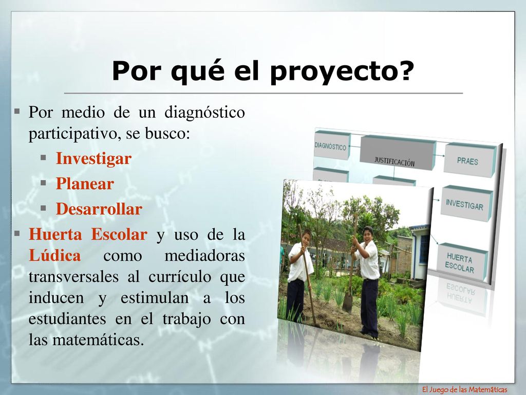 Por qué el proyecto Por medio de un diagnóstico participativo, se busco: Investigar. Planear. Desarrollar.