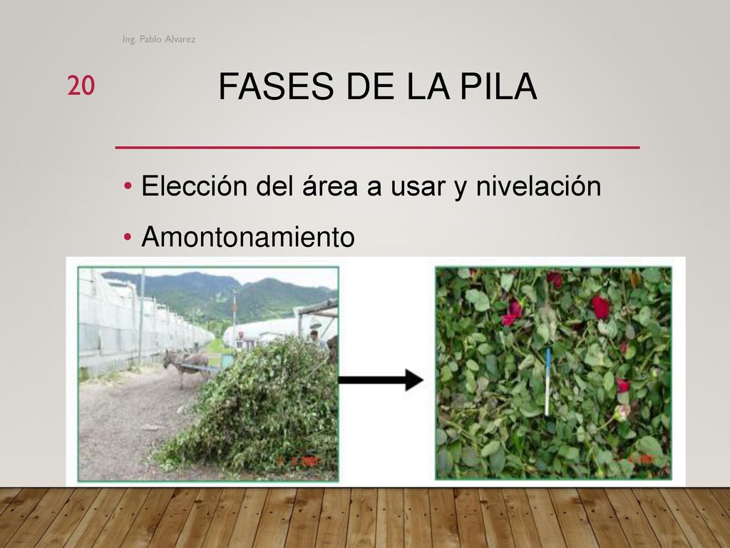 FASES DE LA PILA Elección del área a usar y nivelación Amontonamiento