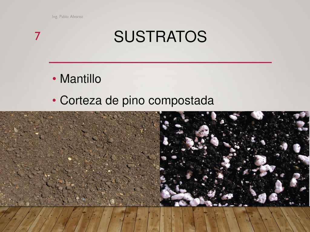 Ing. Pablo Alvarez Sustratos Mantillo Corteza de pino compostada