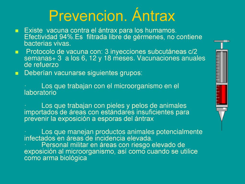 Prevencion. Ántrax Existe vacuna contra el ántrax para los humamos. Efectividad 94%.Es filtrada libre de gérmenes, no contiene bacterias vivas.