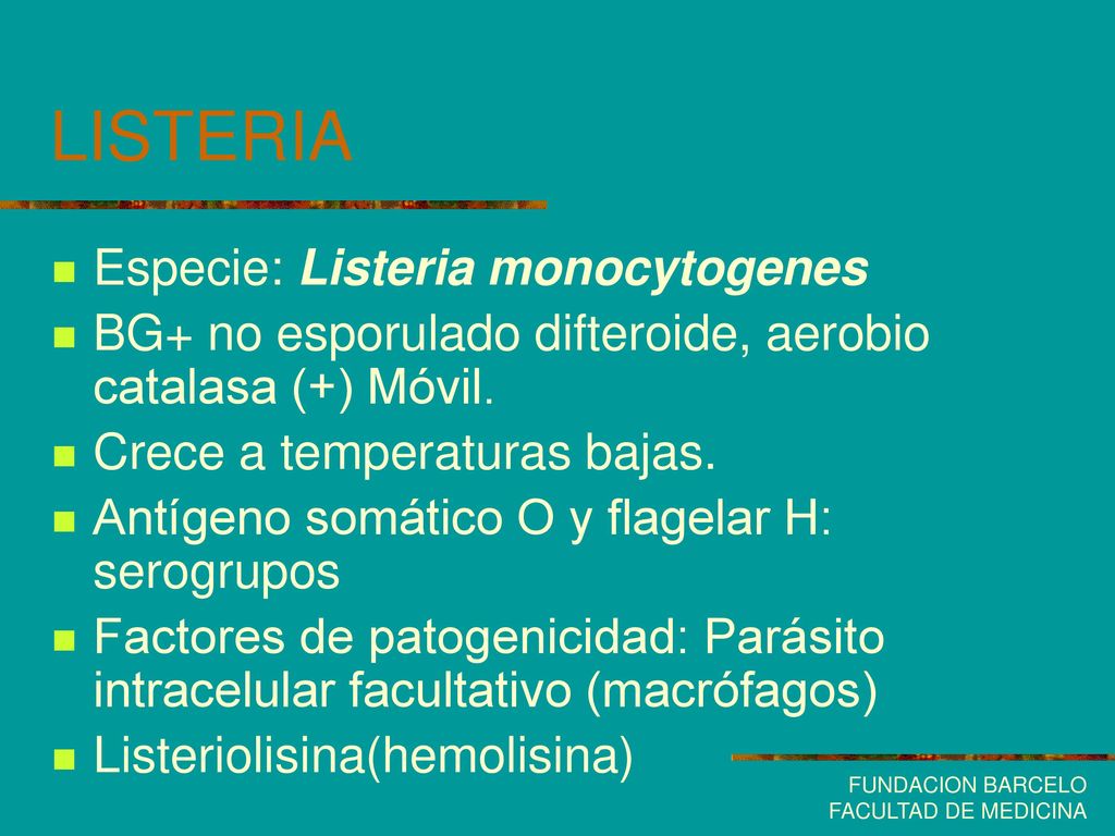 LISTERIA Especie: Listeria monocytogenes