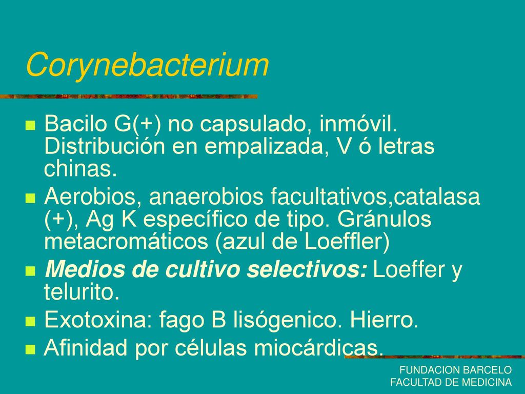 Corynebacterium Bacilo G(+) no capsulado, inmóvil. Distribución en empalizada, V ó letras chinas.