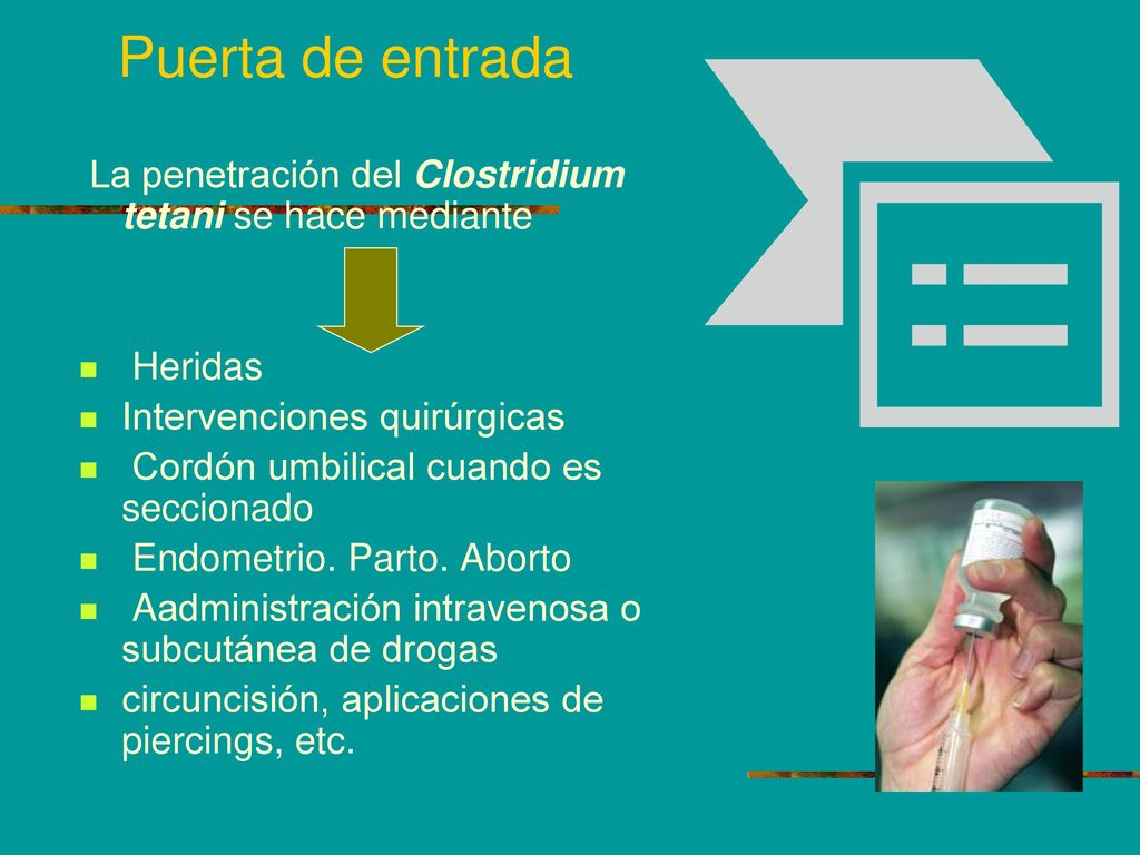 Puerta de entrada La penetración del Clostridium tetani se hace mediante. Heridas. Intervenciones quirúrgicas.
