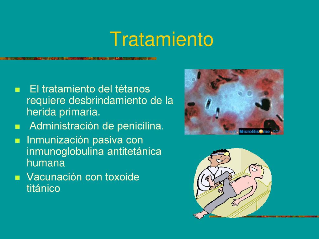 Tratamiento El tratamiento del tétanos requiere desbrindamiento de la herida primaria. Administración de penicilina.