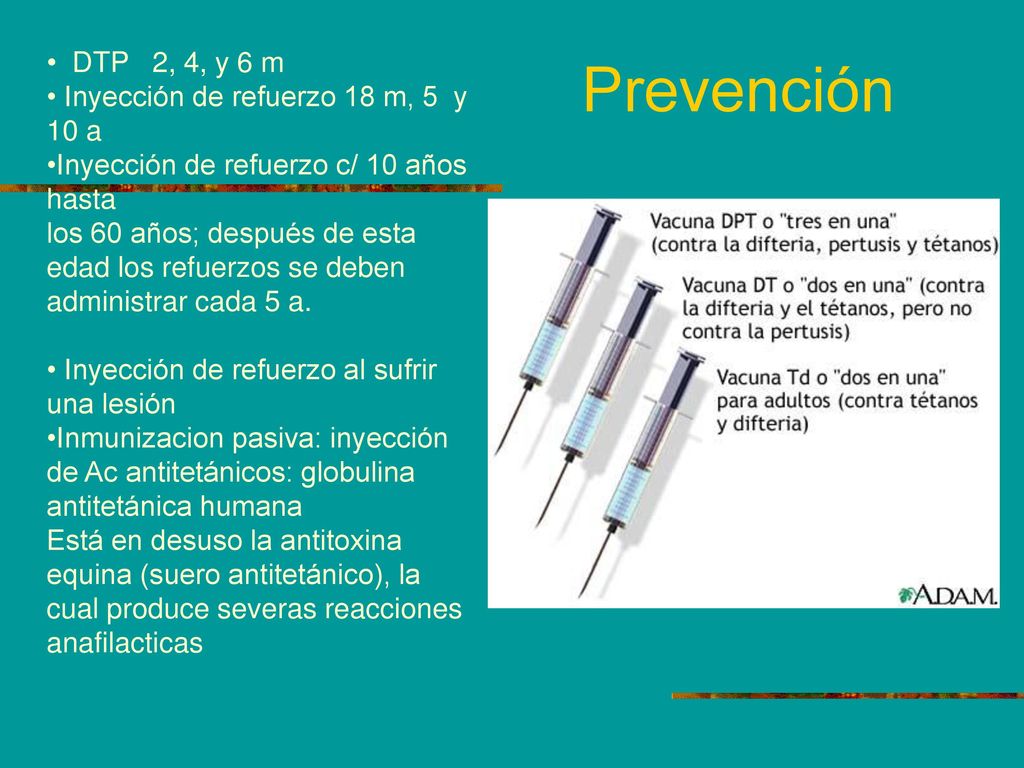 Prevención DTP 2, 4, y 6 m Inyección de refuerzo 18 m, 5 y 10 a