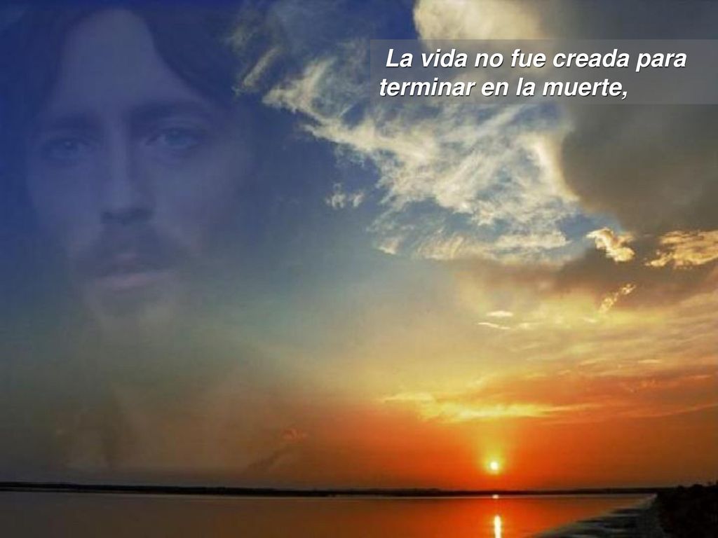 La vida no fue creada para terminar en la muerte,