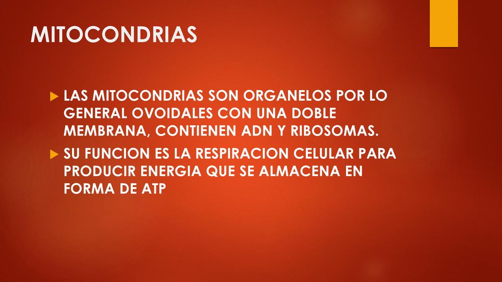 MITOCONDRIAS LAS MITOCONDRIAS SON ORGANELOS POR LO GENERAL OVOIDALES CON UNA DOBLE MEMBRANA, CONTIENEN ADN Y RIBOSOMAS.