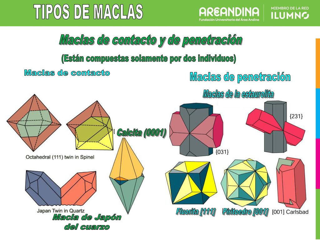 TIPOS DE MACLAS Maclas de contacto y de penetración Maclas de contacto
