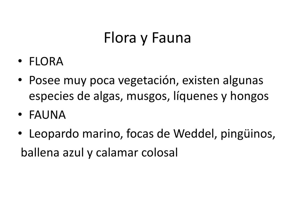 Flora y Fauna FLORA. Posee muy poca vegetación, existen algunas especies de algas, musgos, líquenes y hongos.