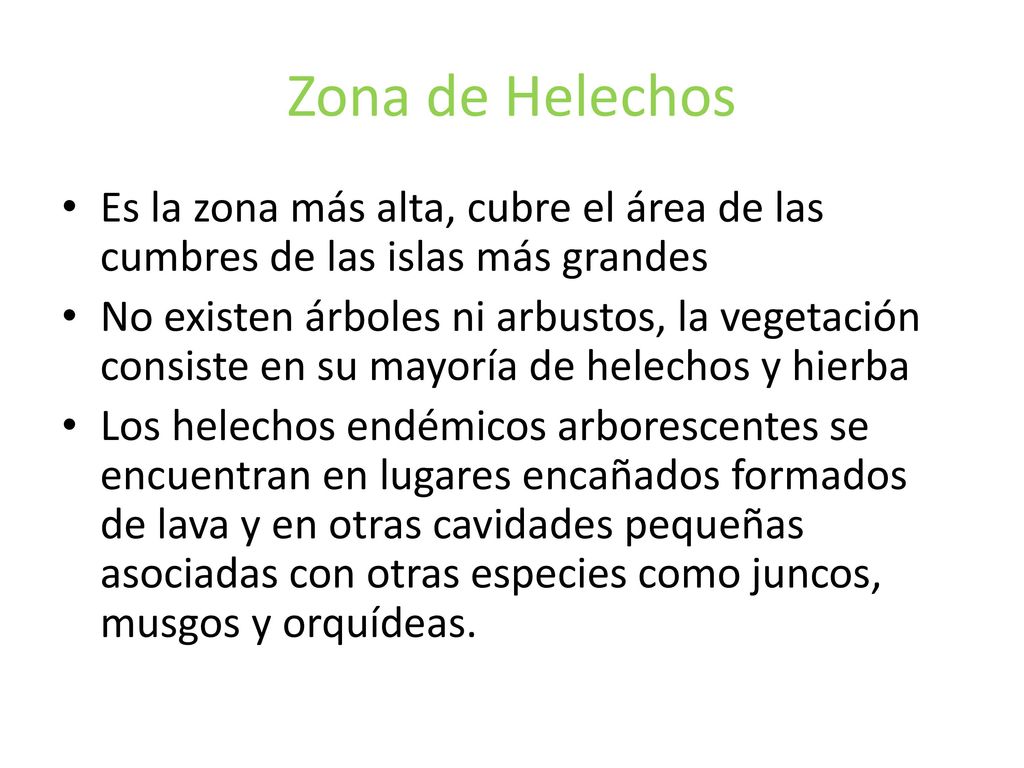 Zona de Helechos Es la zona más alta, cubre el área de las cumbres de las islas más grandes.