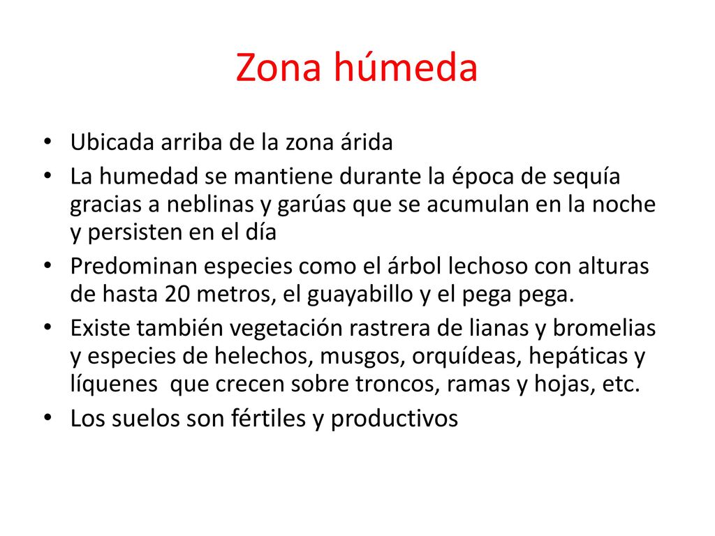 Zona húmeda Los suelos son fértiles y productivos
