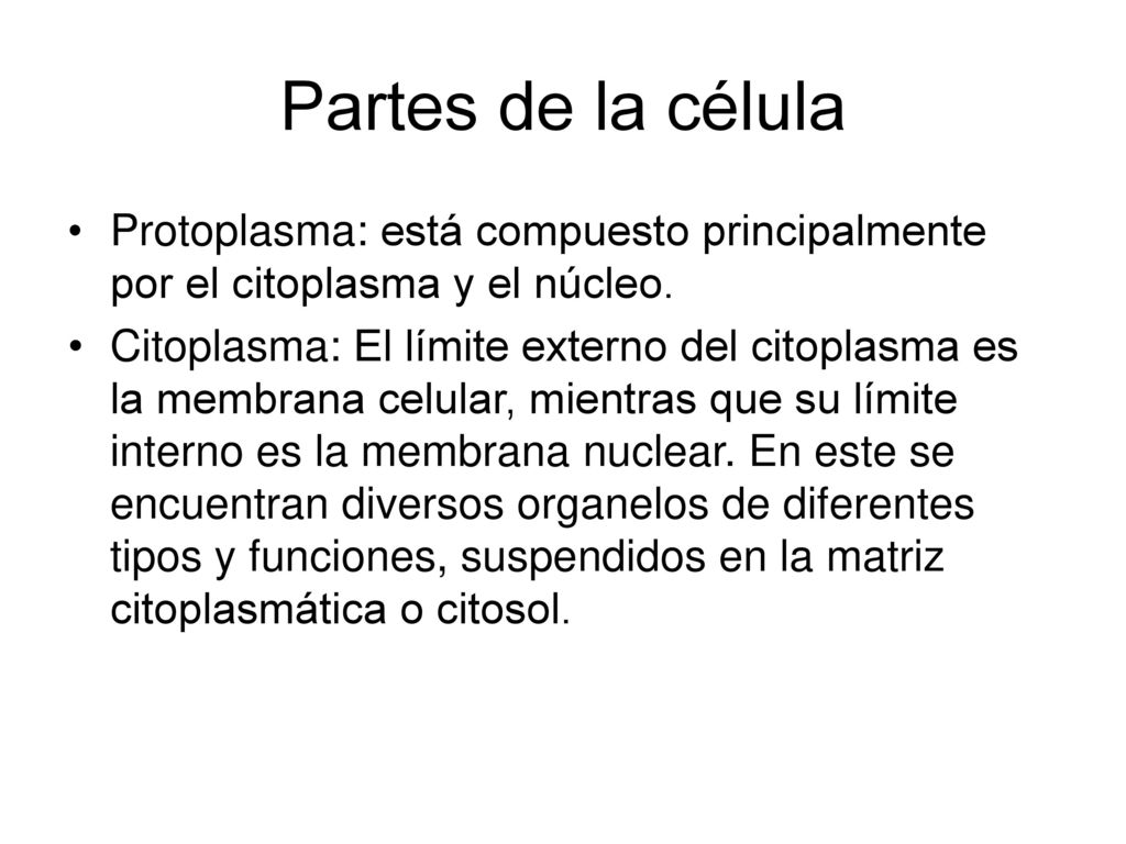 Partes de la célula Protoplasma: está compuesto principalmente por el citoplasma y el núcleo.