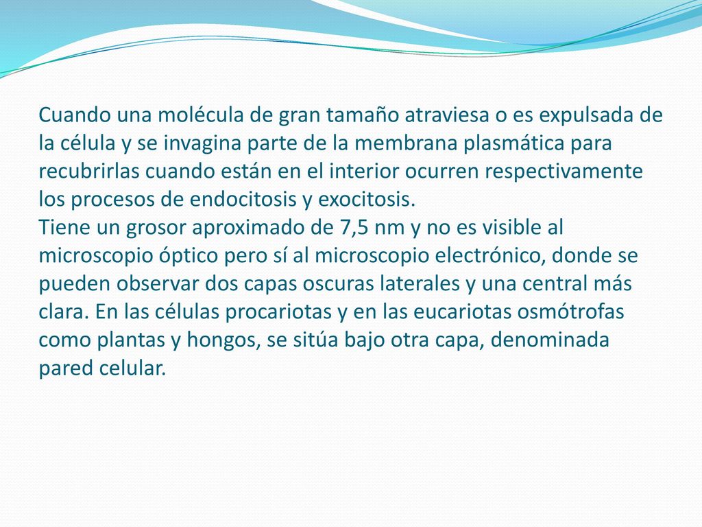 Cuando una molécula de gran tamaño atraviesa o es expulsada de la célula y se invagina parte de la membrana plasmática para recubrirlas cuando están en el interior ocurren respectivamente los procesos de endocitosis y exocitosis.