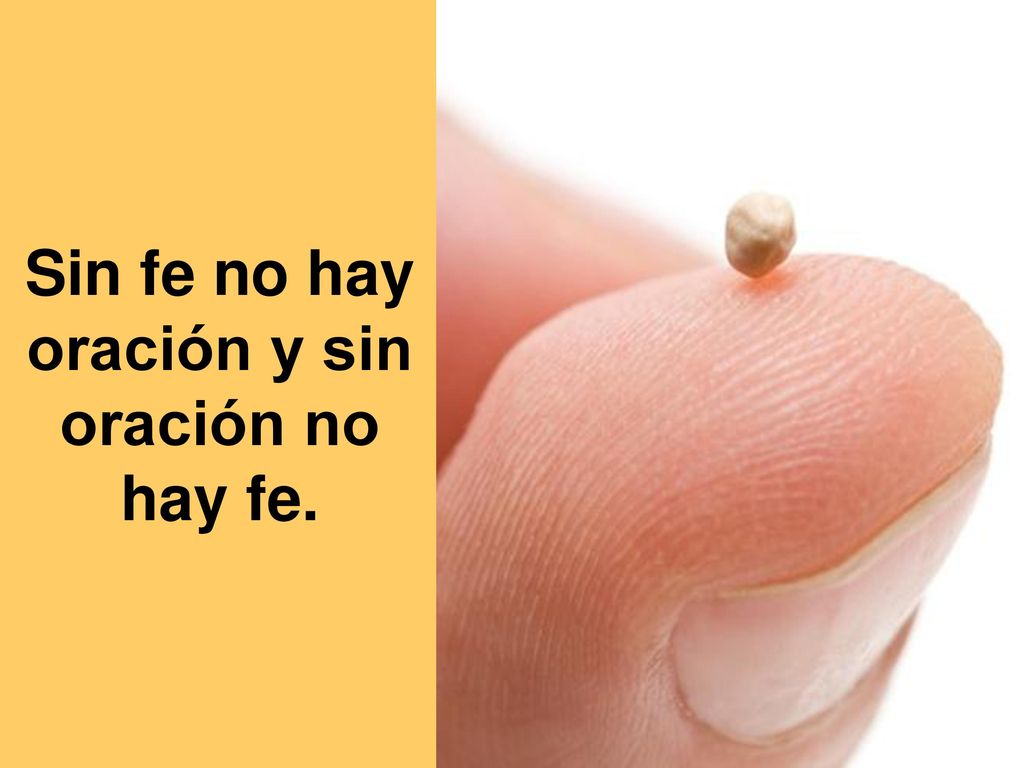 Sin fe no hay oración y sin oración no hay fe.