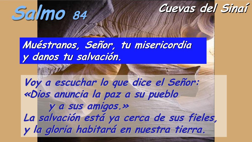 Salmo 84 Muéstranos, Señor, tu misericordia y danos tu salvación.