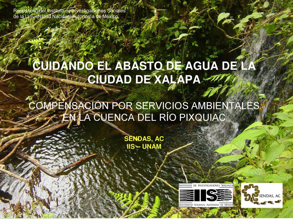 Repositorio del Instituto de Investigaciones Sociales de la Universidad Nacional Autónoma de México
