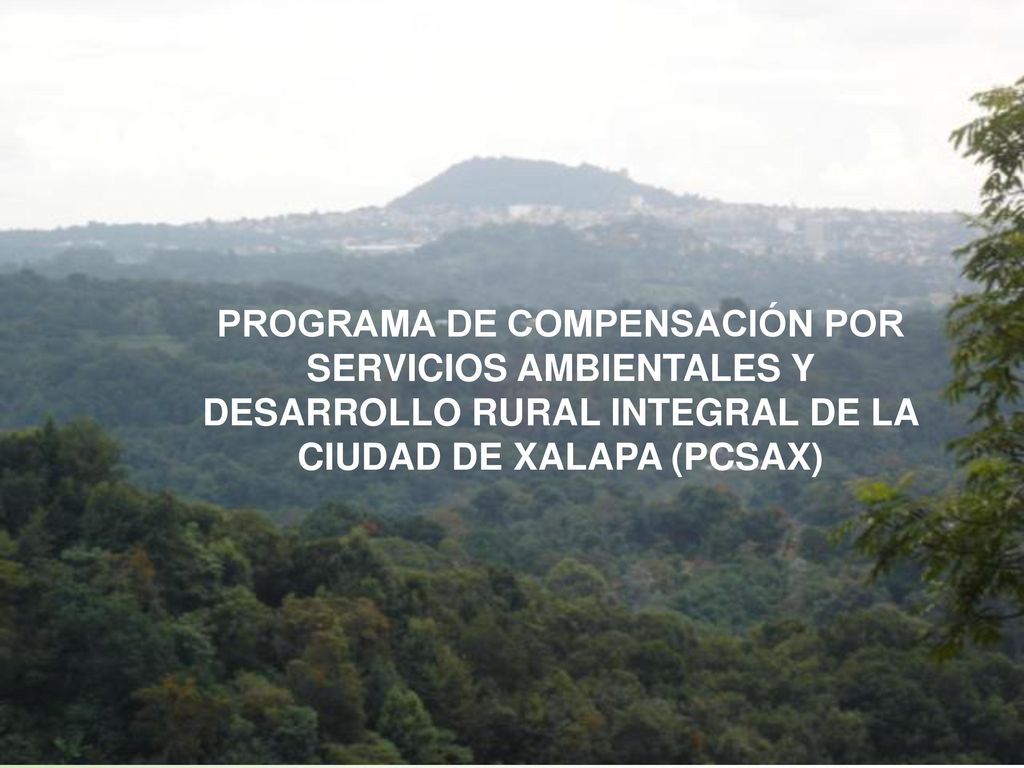 PROGRAMA DE COMPENSACIÓN POR SERVICIOS AMBIENTALES Y DESARROLLO RURAL INTEGRAL DE LA CIUDAD DE XALAPA (PCSAX)