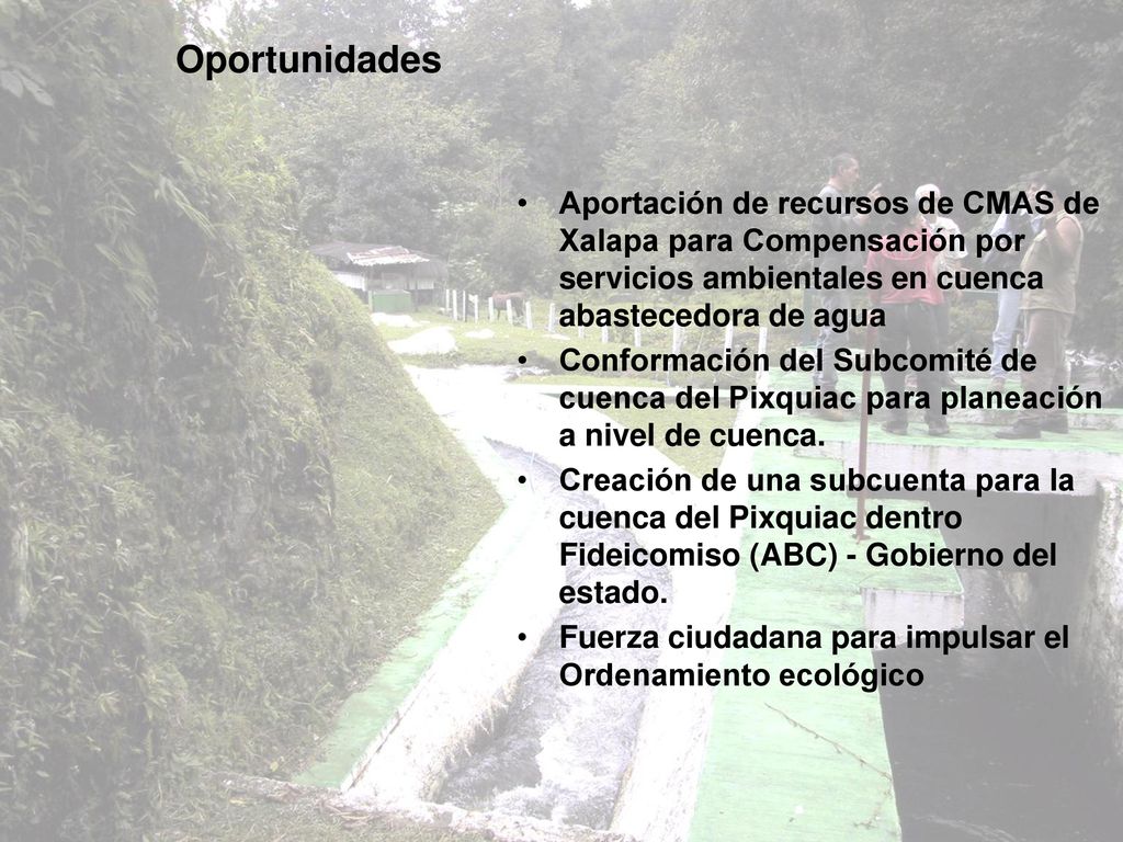 Oportunidades Aportación de recursos de CMAS de Xalapa para Compensación por servicios ambientales en cuenca abastecedora de agua.