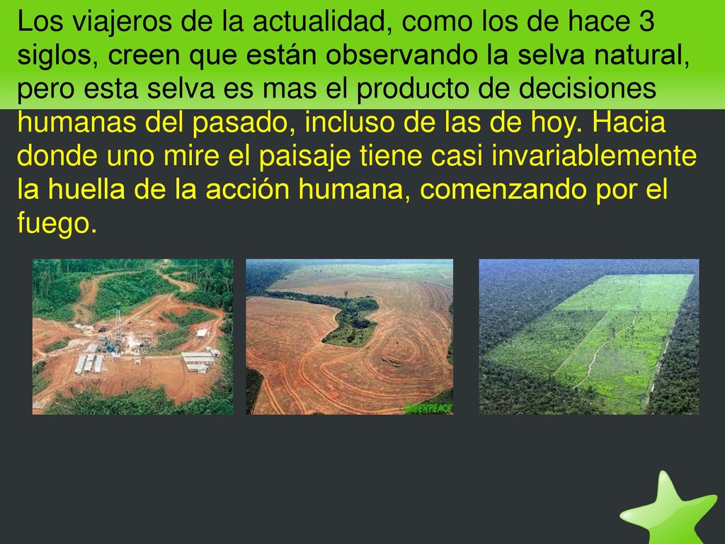 Los viajeros de la actualidad, como los de hace 3 siglos, creen que están observando la selva natural, pero esta selva es mas el producto de decisiones humanas del pasado, incluso de las de hoy.