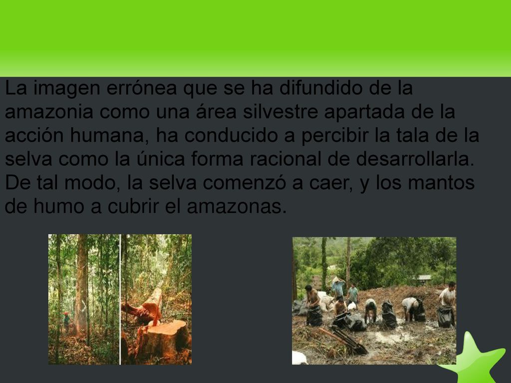 La imagen errónea que se ha difundido de la amazonia como una área silvestre apartada de la acción humana, ha conducido a percibir la tala de la selva como la única forma racional de desarrollarla.